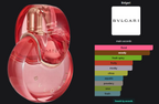 BVLGARI OMNIA CORAL FOR FEMME