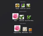 Rose Goldea Blossom Delight Bvlgari