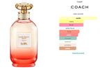 Coach Dreams Sunset