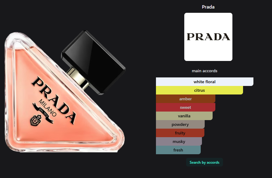 Prada Paradoxe